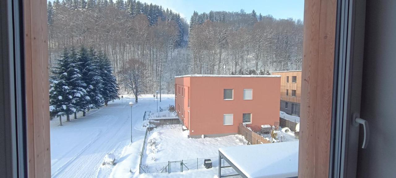 Apartman Nely Svoboda nad Úpou エクステリア 写真