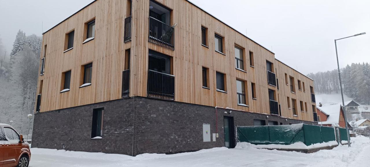 Apartman Nely Svoboda nad Úpou エクステリア 写真