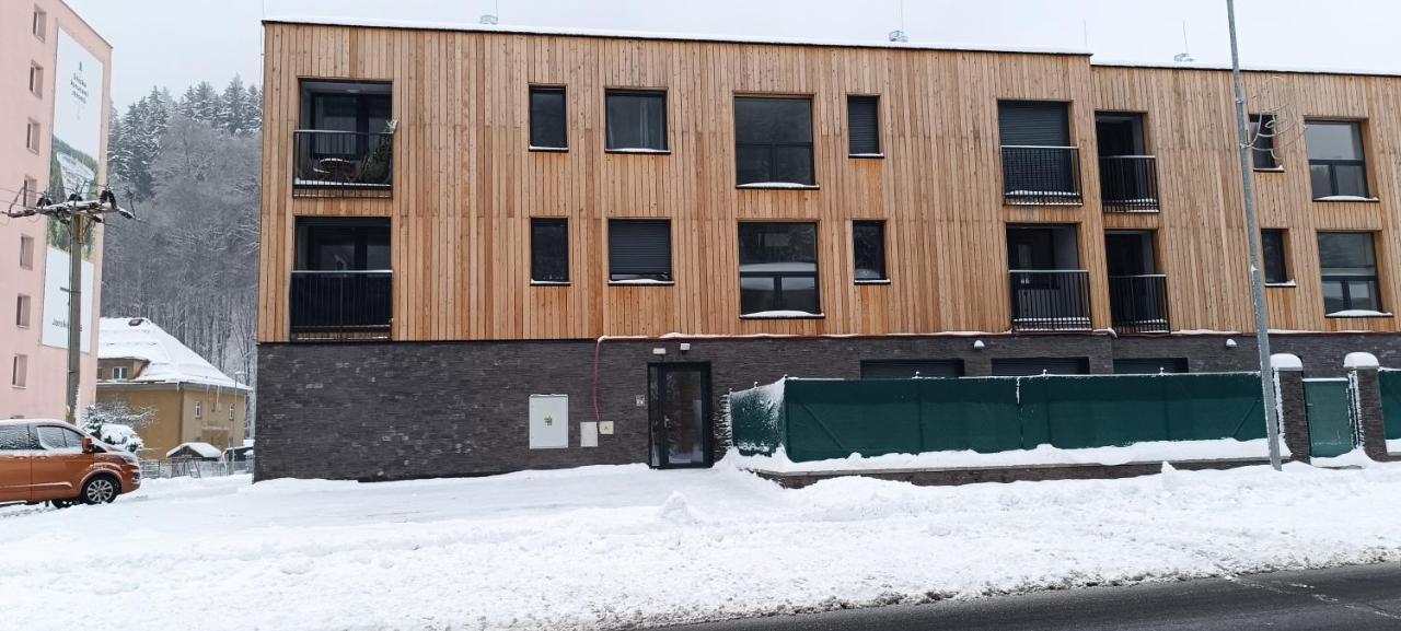 Apartman Nely Svoboda nad Úpou エクステリア 写真