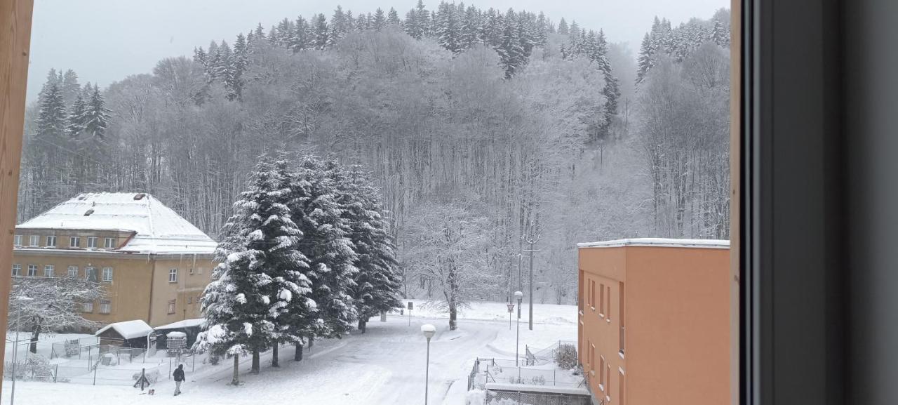 Apartman Nely Svoboda nad Úpou エクステリア 写真